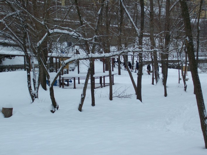  Image name: molino 2008 323.jpg 
 width: 708 pixel 
 height: 532 pixel 
 Size: 110666 bytes 
 Click to enlarge 